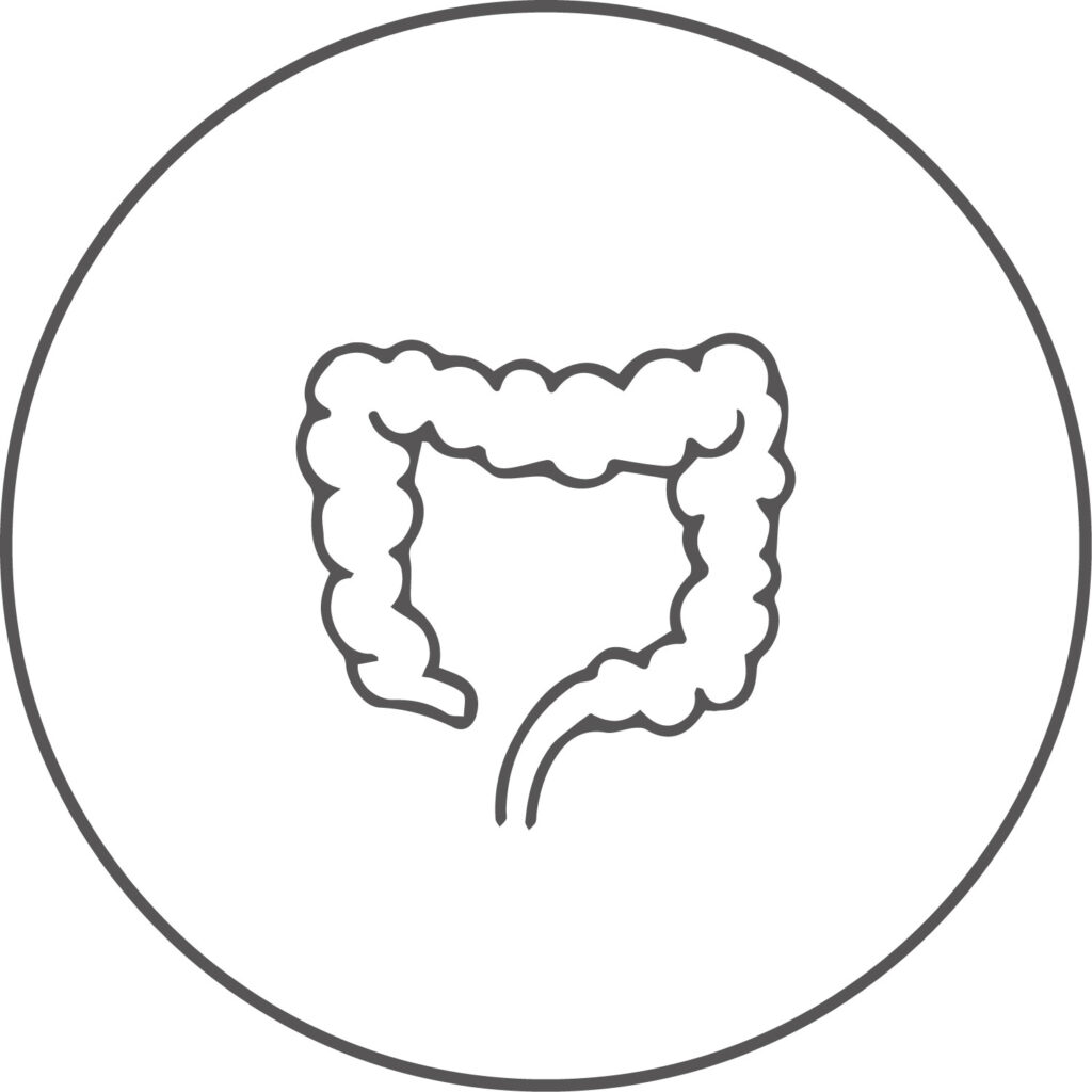 Salvida_Prokotskopie