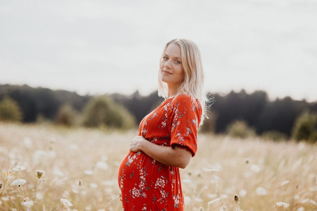 pregnancy-5098881_1280-1024x682